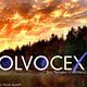 Solvocex